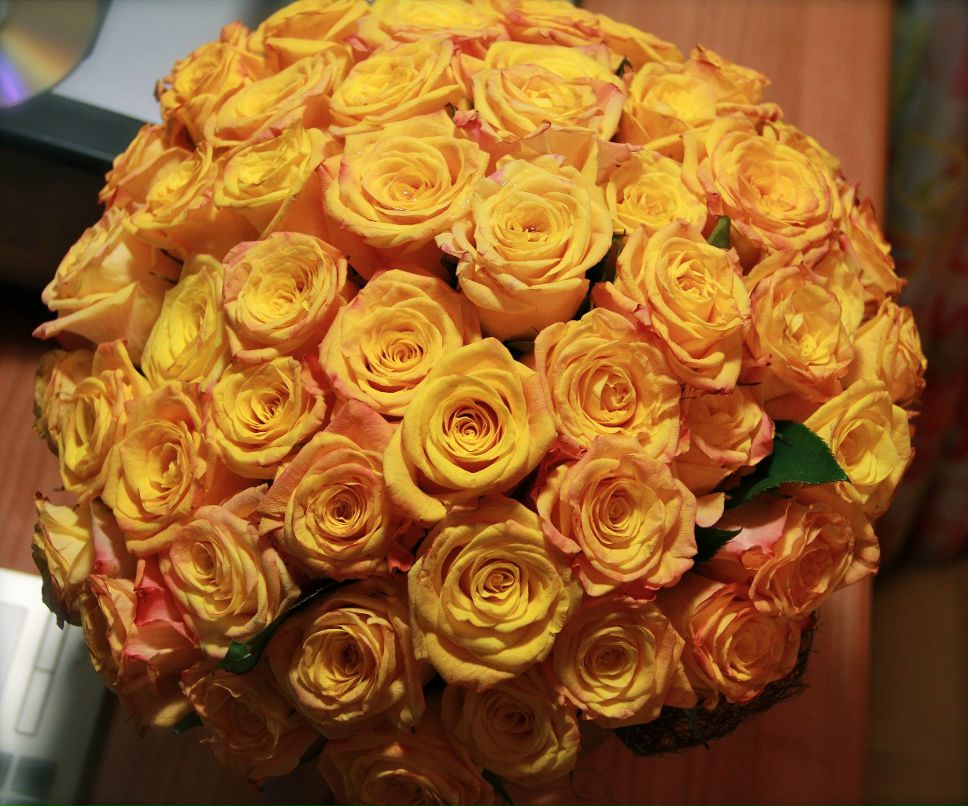 Anastasia Панченко life_story | Москва