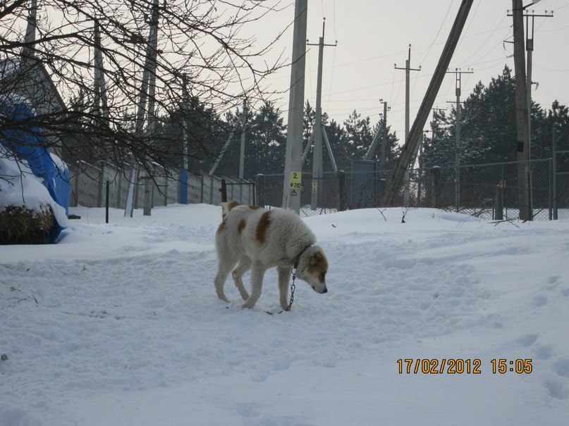 Лёня Бондаренко | Доманевка