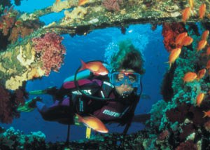 Виктория Вербицкая | Киев