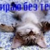 Аватар: Борис Босангов