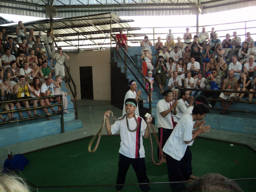 Наталья Лехова *Вивиан* | Новосибирск