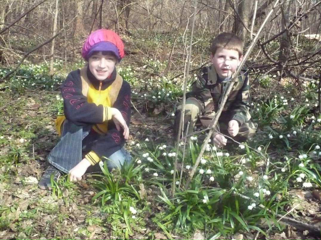 Галина Прокопенко | Сторожинец