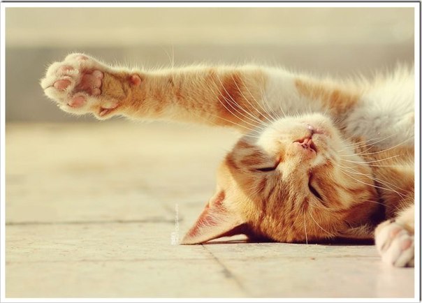 №146, Сергей Поварнин, 47 лет, Запорожье №146, Сергей Поварнин, 47 лет, Запорожье