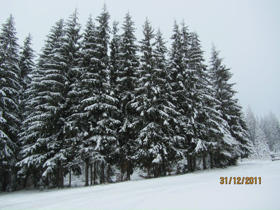 Вита Паш---Тимосевич | Хмельницкий