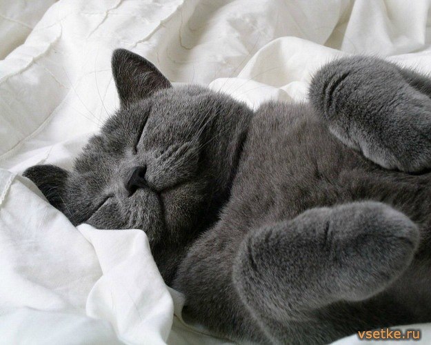 Мария Моисейчева | Киев