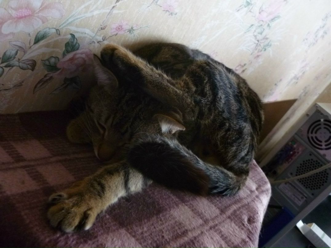 Катаринка Моисеева <КОТЯ> | Санкт-Петербург