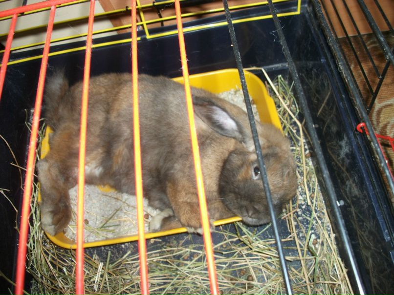 Жанна Татаренко | Одесса