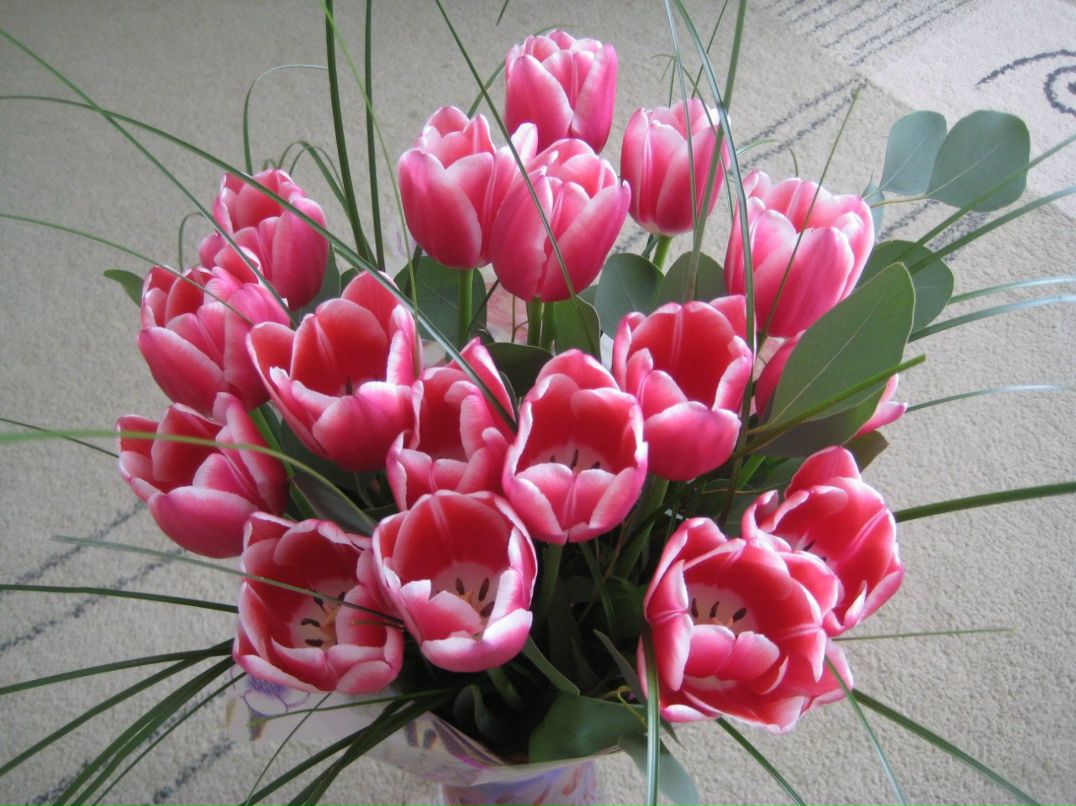 Елена Федореева | Хабаровск