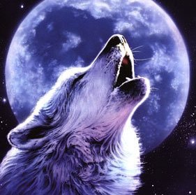 Сергей Образцов | Киев