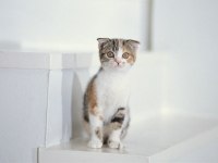 Саша Белкин | Симферополь