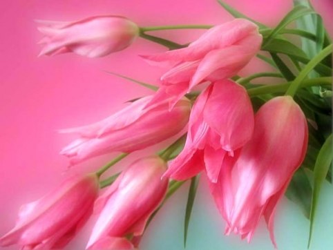 Катерина Попова | Днепр (Днепропетровск)