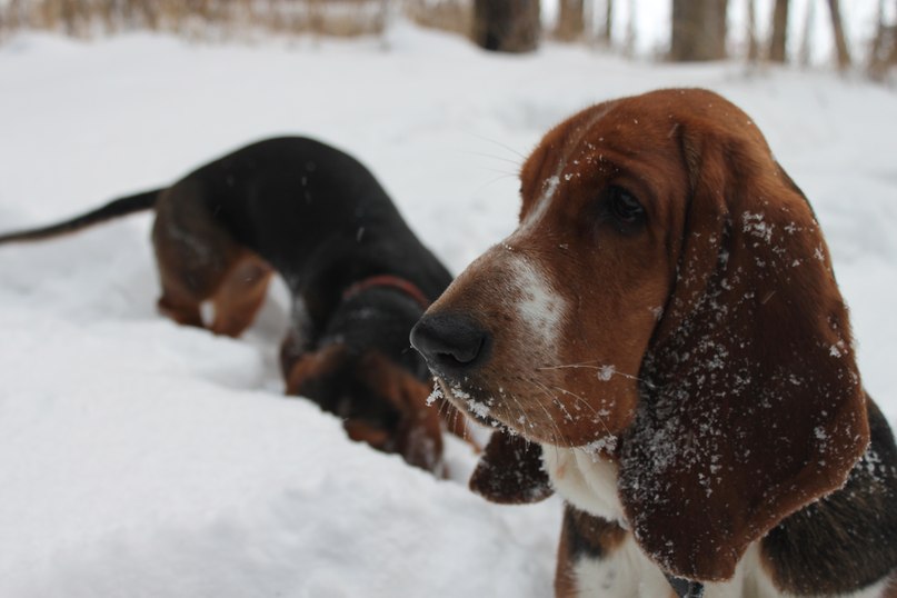 Альбина Нуруллина | Ижевск