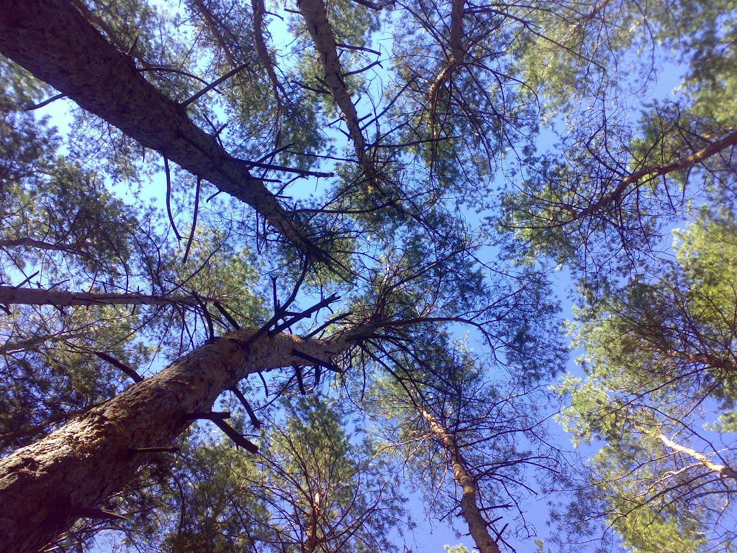 Юля Бабич | Краматорск