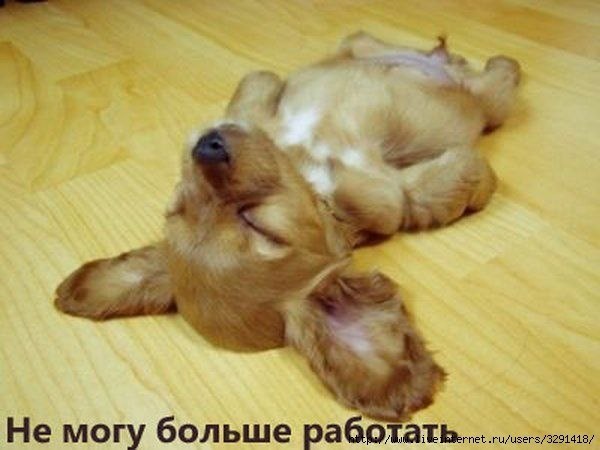 Михаил Турчин Викторович | Полтава