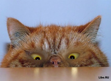 Татьяна Коринь | Днепр (Днепропетровск)