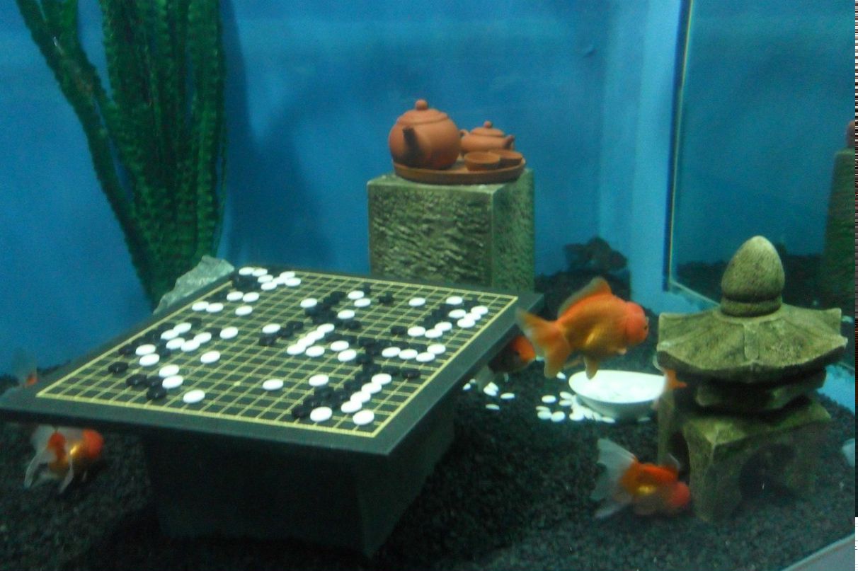 Надежда Рубцова | Новосибирск