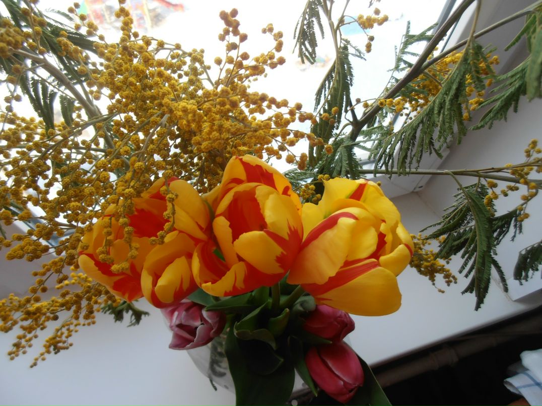 Лия Сальникова | Уфа