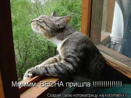 Леша Жиров -=MinioN=- | Уфа