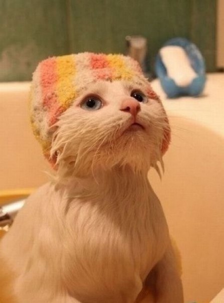 Анна Проскура | Nürnberg