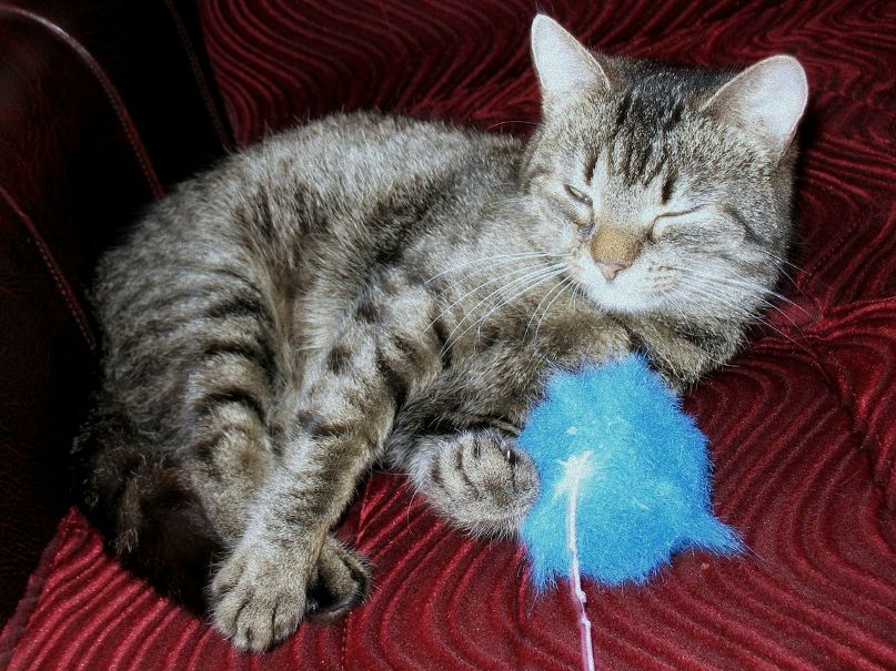 Наташа Рудько | Минск