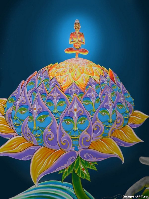 Денис Сокол ™ | Бровары