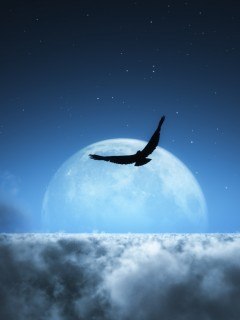 Даша Ягодина | Новосибирск