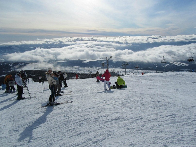 Алексей Шинкарук | 