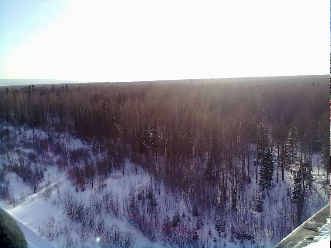 Ромка Ехлаков | Краснокамск