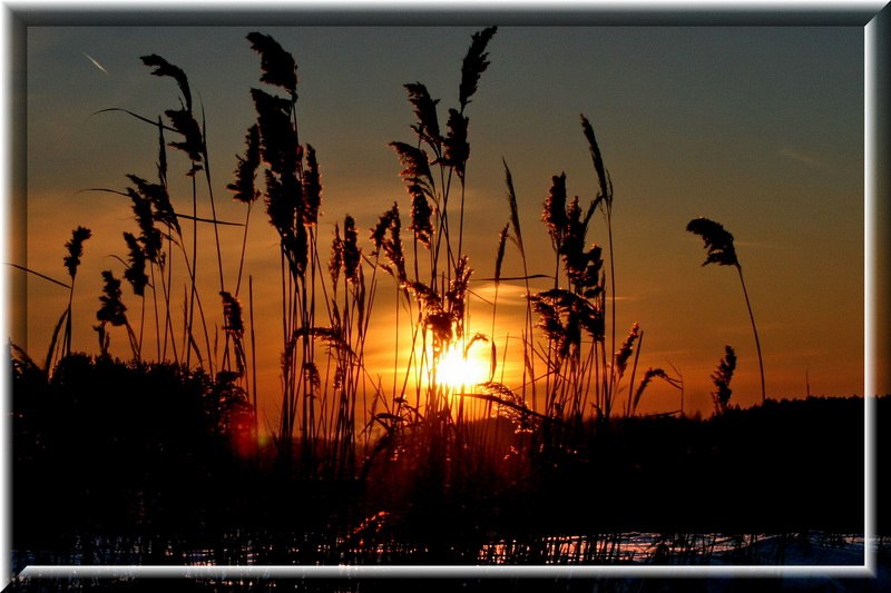 Евгений Рабыш | Санкт-Петербург