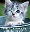 Фотография Хачатряна Грачьи