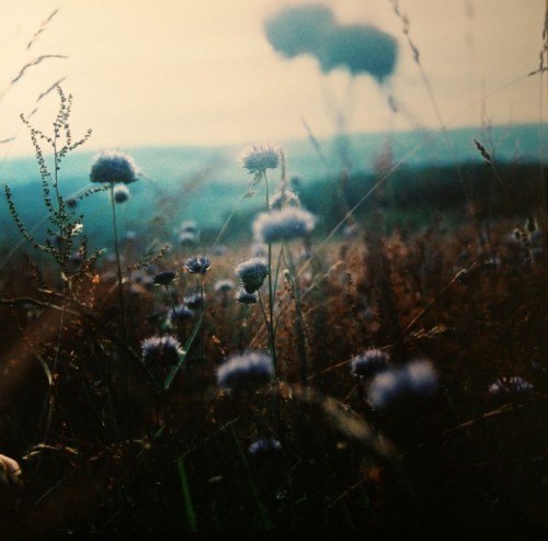 Данил Носков | Москва