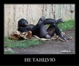 Фотография Николай Лагутин