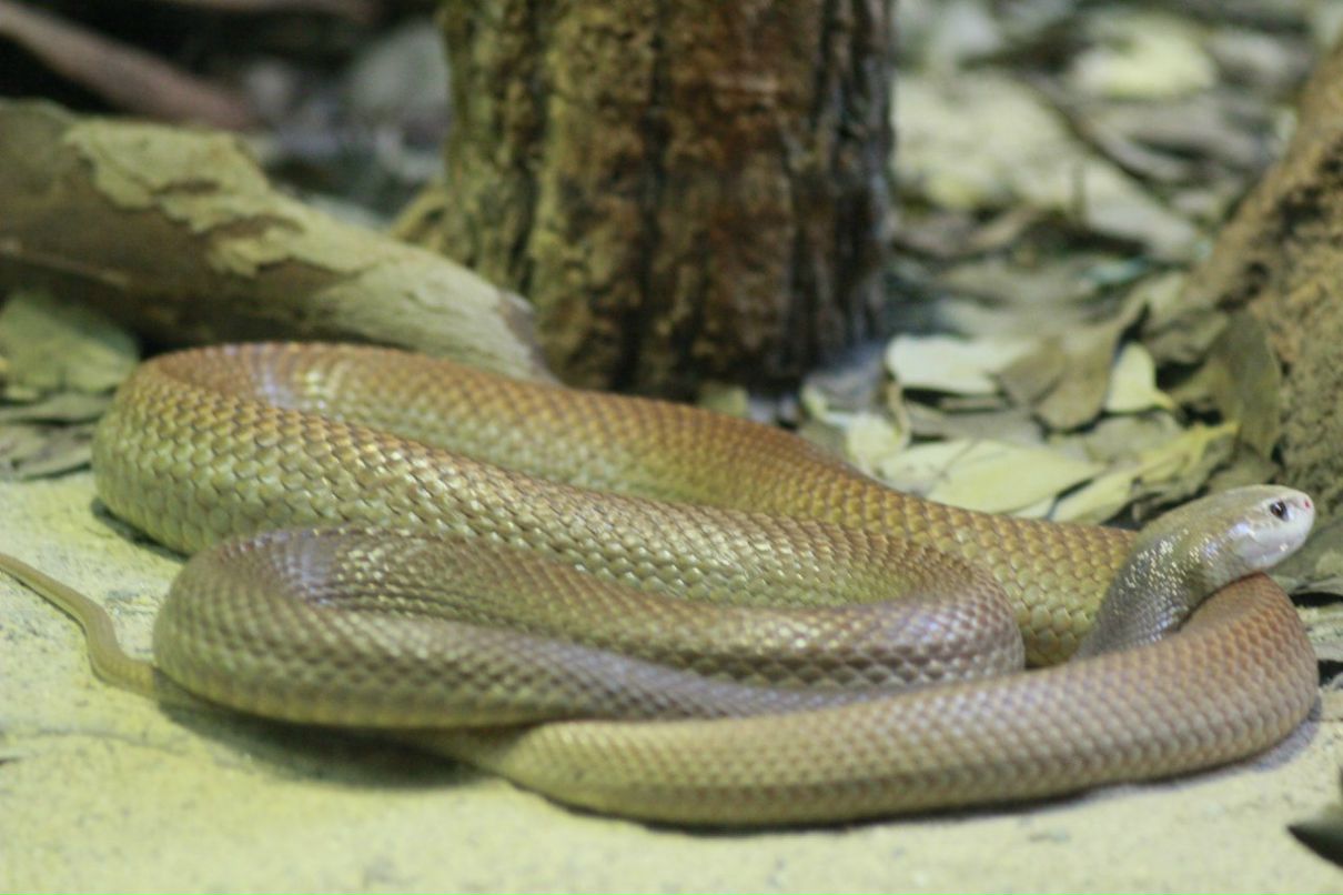 Григорий Балеевский | Москва (деревня)