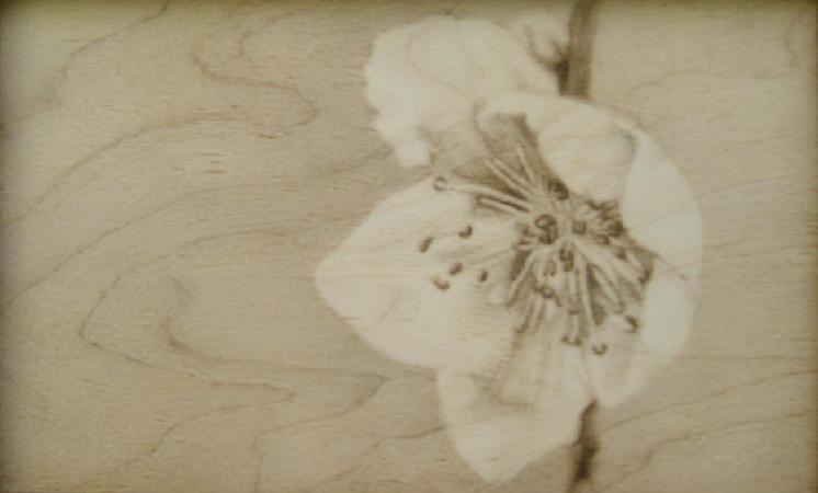 Александр Калаганский | Томск