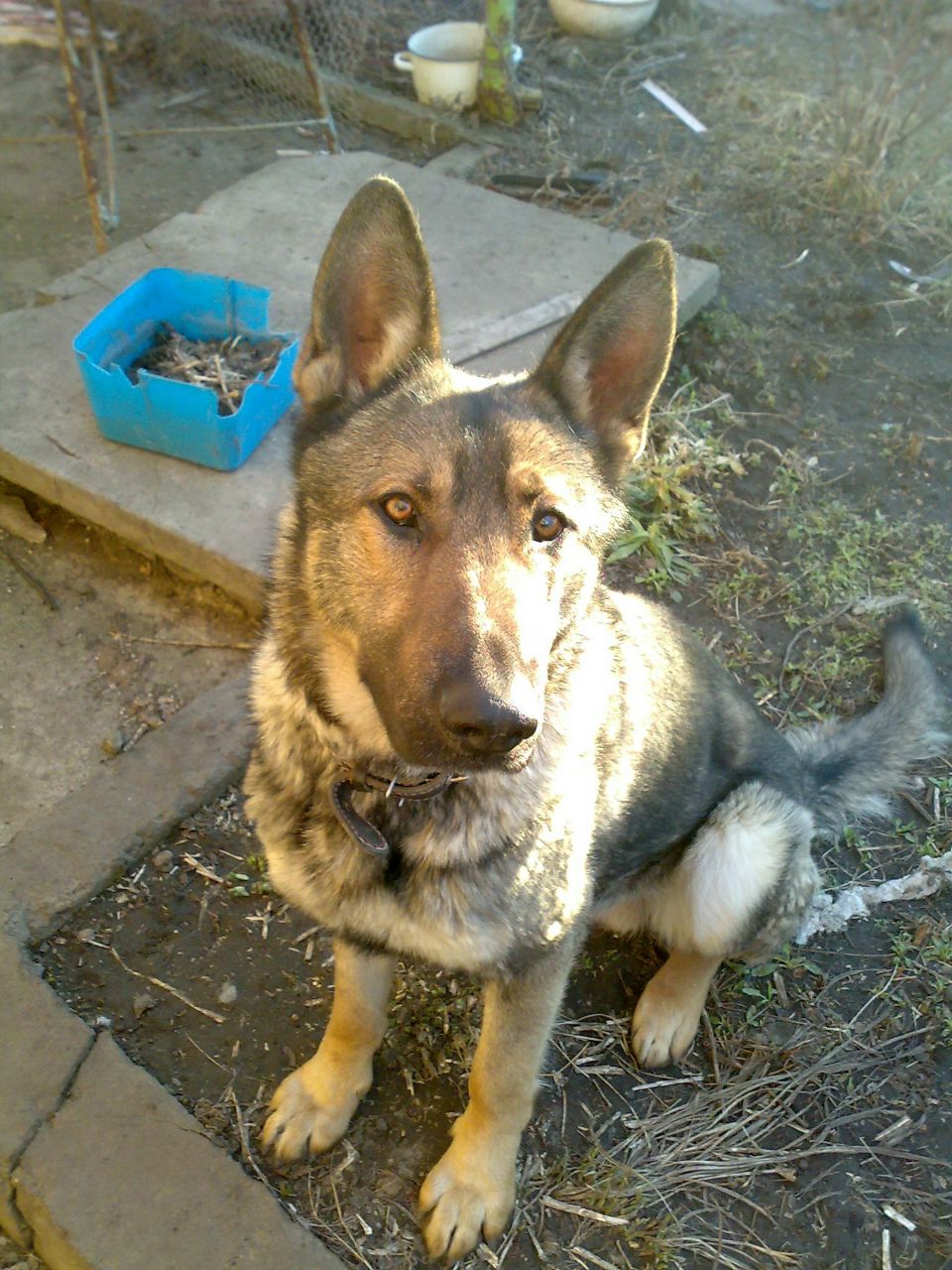 Игорь Черевашко ПАПА | Кропивницкий / Кировоград