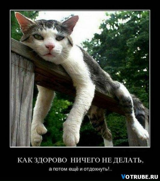 №146, Мар'ян Грицюк, Стрый №146, Мар'ян Грицюк, Стрый