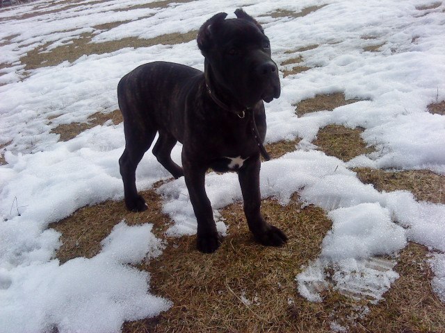 Виктория Кржиштофович | Киев