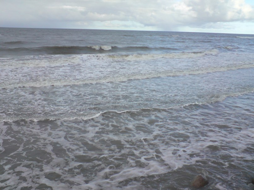 Светлана Шитикова-Гуськова | Калининград