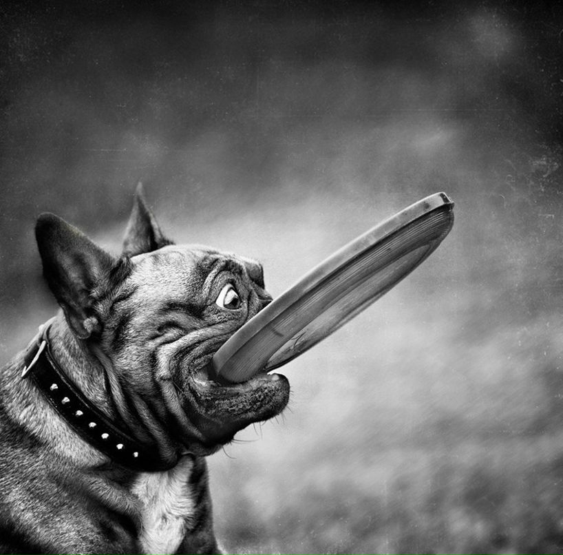 Петр Таргонский ツツツ | Киев