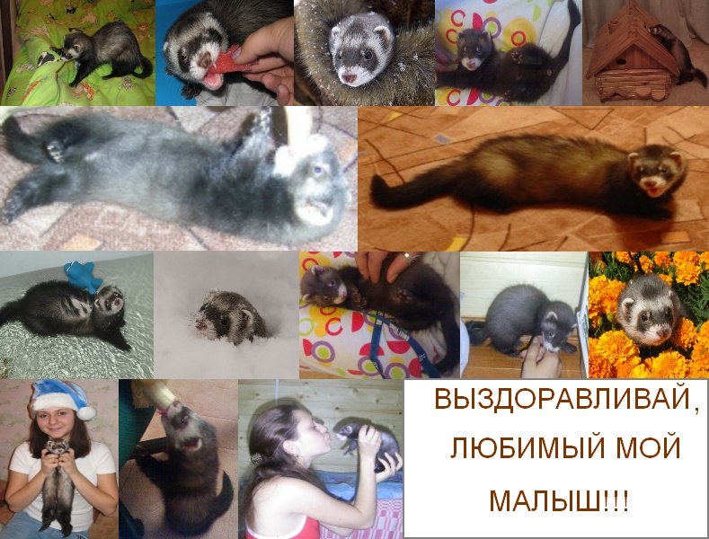 Катюшка Никульникова | Москва