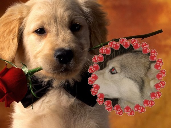 Дарья Федюкова | Москва