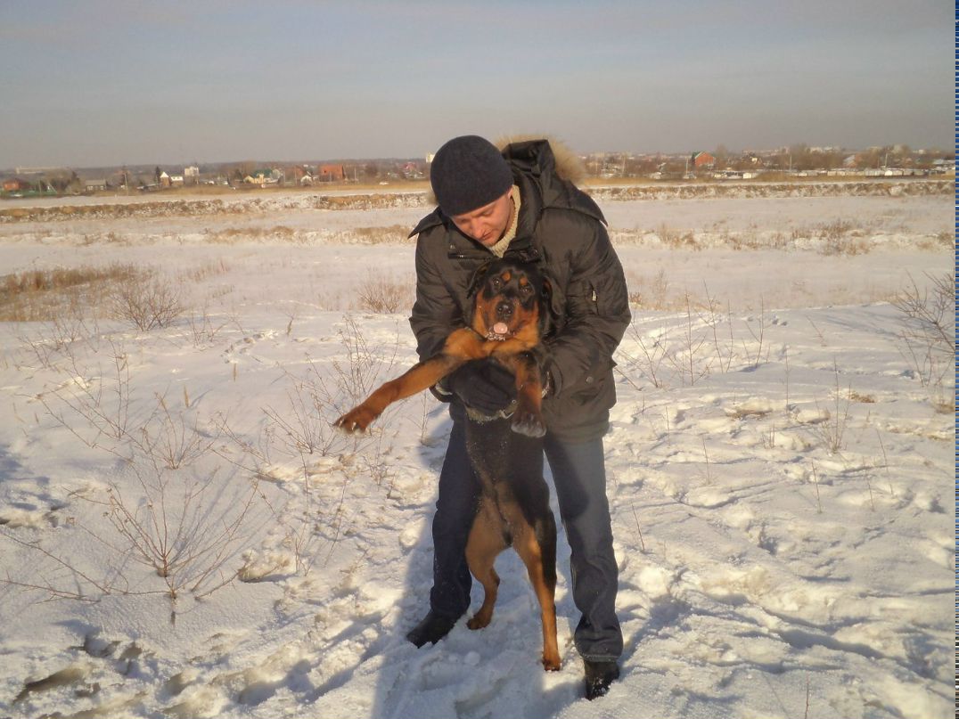 Сергей Маслович | Омск