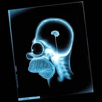 Михаил Герасимов | Санкт-Петербург