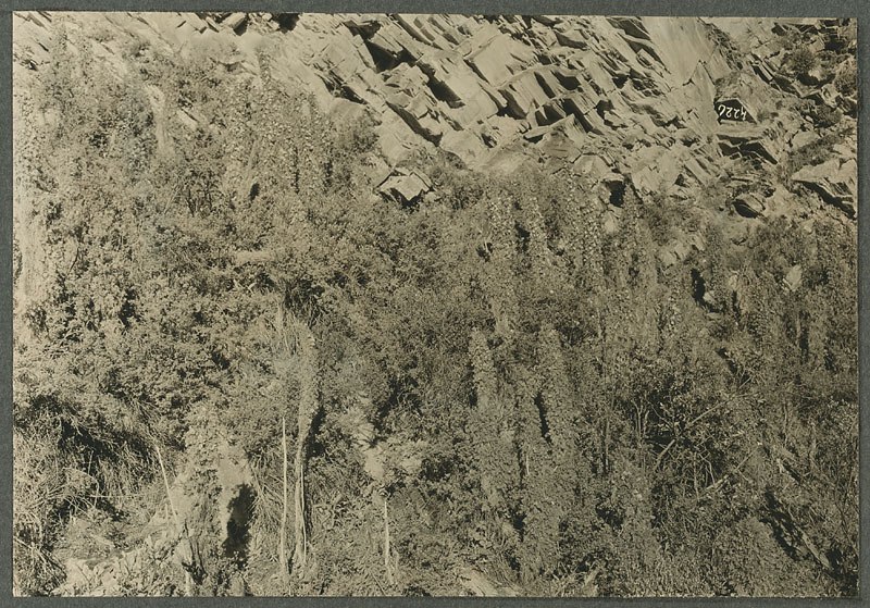 Анна Ярмош | Москва