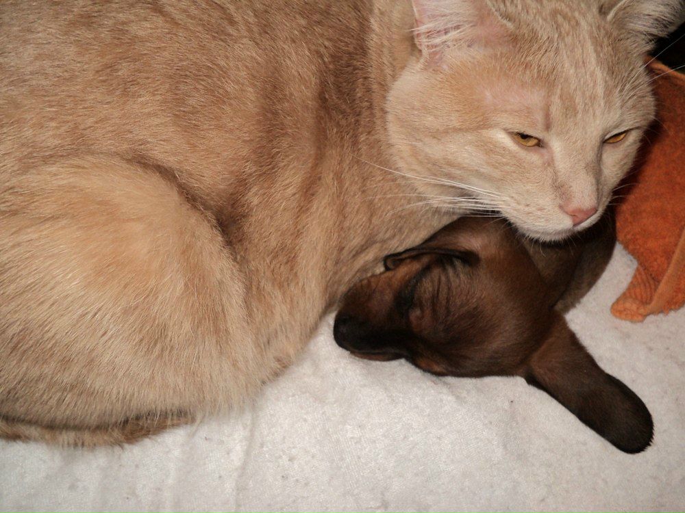 Ирина Ларина | Днепр (Днепропетровск)