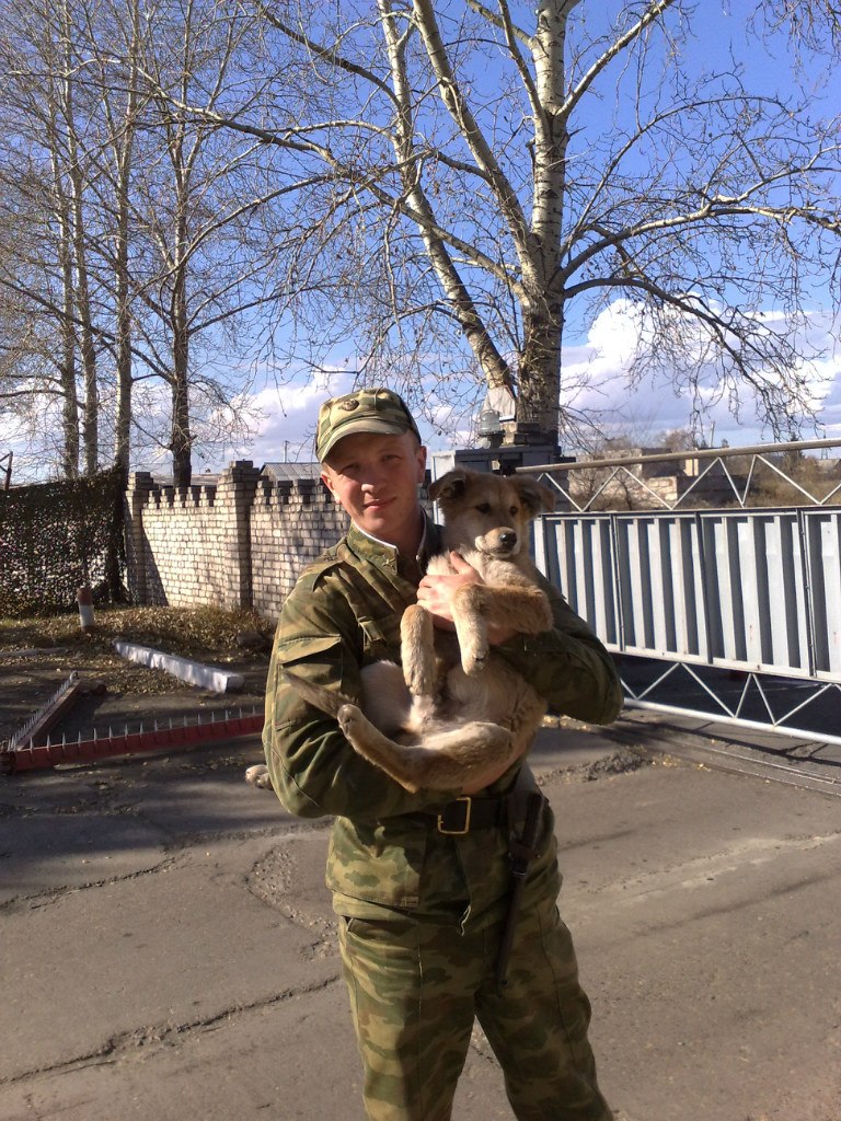 Павел Брюхов | Елово