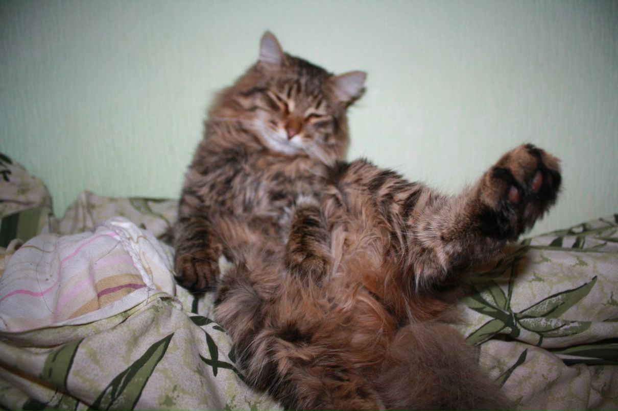 Анна Закирова | Казань