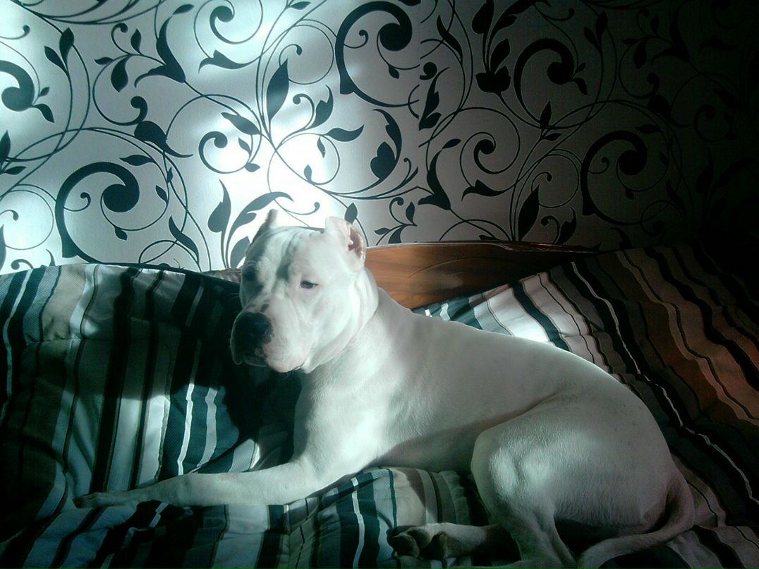 Валентина Мандебура Викторовна | Вороное