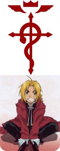 Шамиль Магомедов | Волгодонск