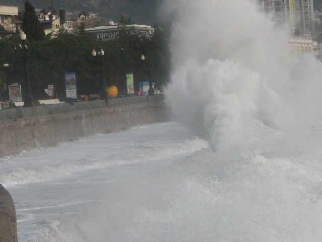 Елисей Бороздин | Ялта